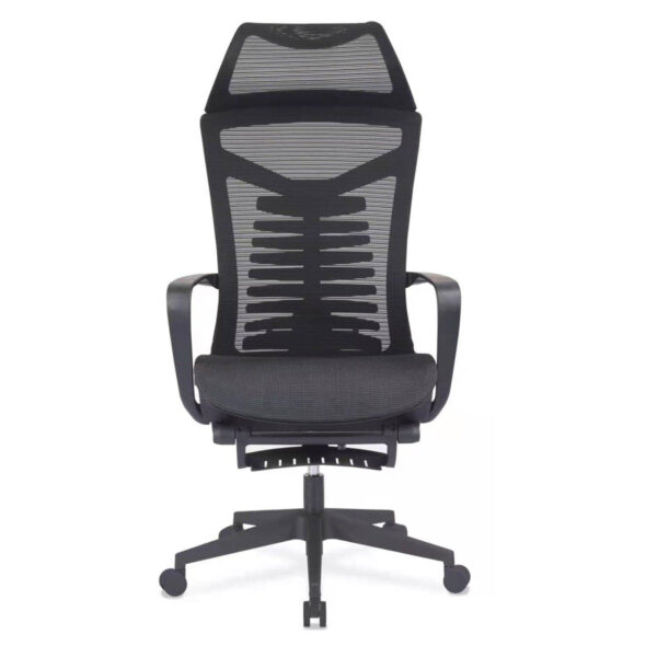 V255 ECGX K339L egcx k339l ergonomic office chair seat adjustable height deluxe mesh chair back support footrest 917169 01