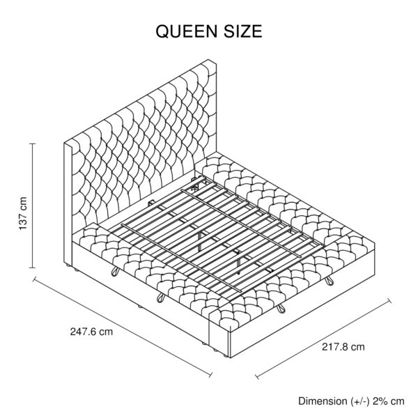 V43 BED ANA QDGR Infographic 1